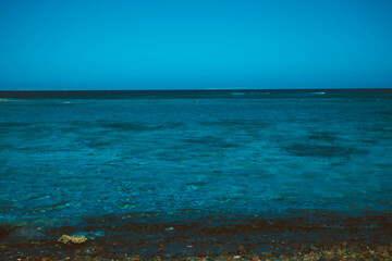 Rocks and corals in sea blue water. Landscape of Egypt on vacation