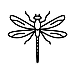 dragonfly isolated on white