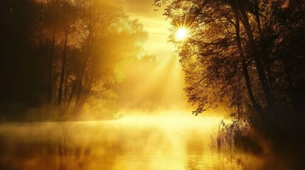 Golden sunrise river mist forest nature scene