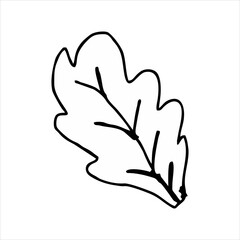 black and white flower