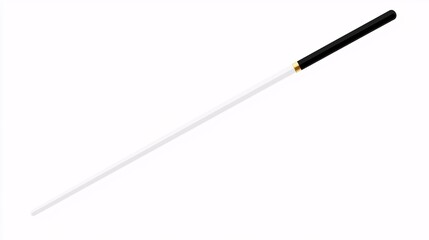 Fototapeta premium detailed vector illustration of a baton, showing its full length and features such as grip texture and expandable mechanism. Baton.isolate on white background 