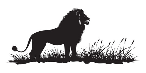 A lion is standing in a field of tall grass