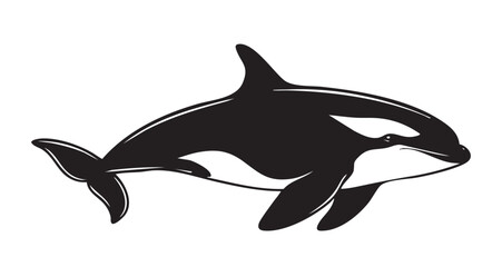 A black and white image of a whale