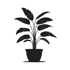 A black and white drawing of a potted plant