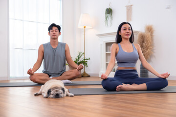 Couple Practicing Yoga with Relaxed Pug Nearby
