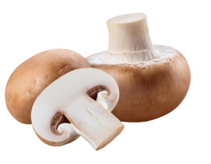 Royal brown champignon mushrooms whole and halved on transparent background