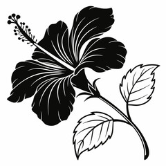 black and white flowers