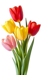 Fototapeta premium Vibrant Tulip Bouquet