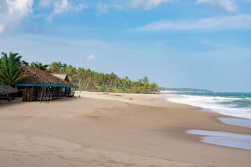 beach with trees