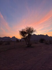 sunset in the desert