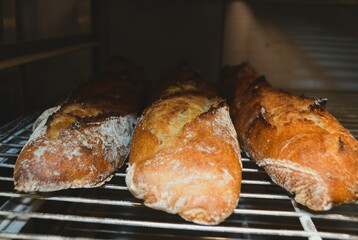 Baguettes de pain sorties du four alignées sur une grille d'après cuisson