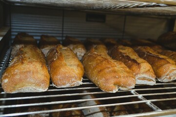 Baguettes de pain sorties du four alignées sur une grille d'après cuisson