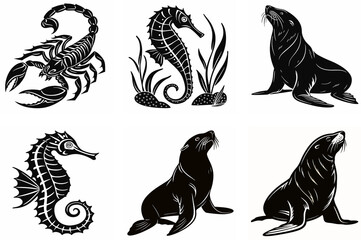 Animal Set of Walrus Icon & Whale Shark Silhouette on White Background  Vector Art Collection