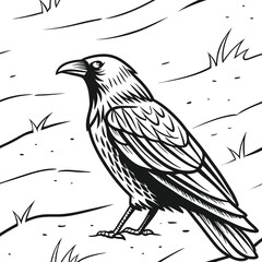 A captivating black and white line art illustration of a raven perched on a grassy, textured ground.