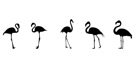 flamingo silhouette isolated on white