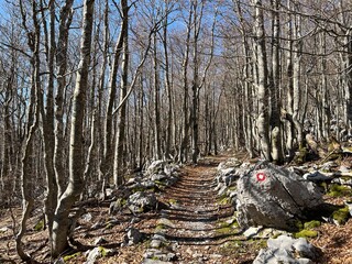Premuzic hiking trail or Premuzic Trail - Velebit Nature Park, Croatia or Premuzic-Wanderweg or Premuzic's Trail (Pješački planinarski put Premužićeva staza - Park prirode Velebit, Hrvatska)