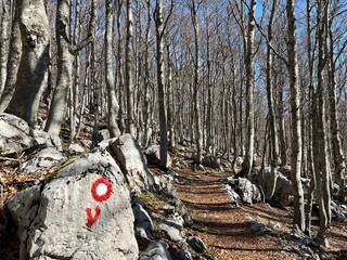 Premuzic hiking trail or Premuzic Trail - Velebit Nature Park, Croatia or Premuzic-Wanderweg or Premuzic's Trail (Pješački planinarski put Premužićeva staza - Park prirode Velebit, Hrvatska)
