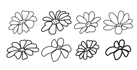  Collection different daisy icon, Hand-drawn brush daisy flowers, Botanical thin line floral elements, Ink drawing wild plants, herbs or flowers.