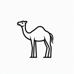 Fototapeta premium Simple black line art camel illustration