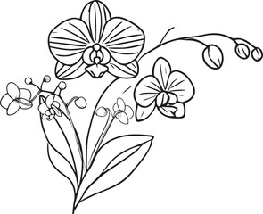 Orchid flowers illustration coloring page, simplicity, Embellishment, monochrome vector art, Outline print with blossom Orchid flowers, Orchid bouquet leaves, and buds, Orchid flower tattoo