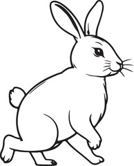 Obraz premium rabbit icon line vector design