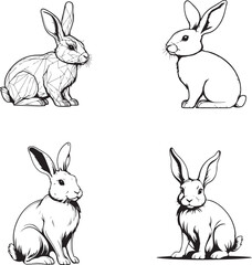 rabbit icon line vector design