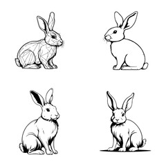 rabbit icon line vector design