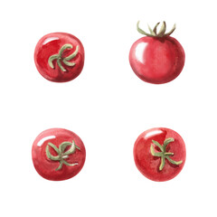 Set of whole cherry tomatoes in watercolor illustration. Isolated food-themed image for cookbook design, magazines, menus, restaurant and cafes decoration.