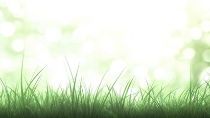 Fototapeta premium Fresh spring grass with soft sunlight bokeh