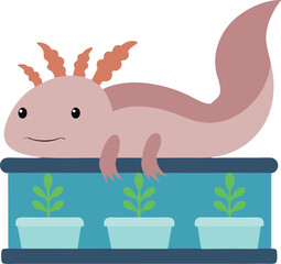  Axolotl in aquaponics vector illustration