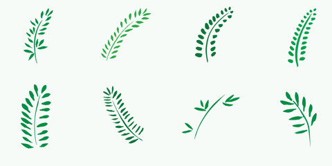 Grunge dry brush fern leaves set, vector, freehand, watercolour, isolated.