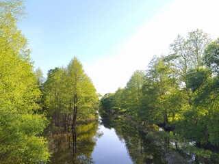 river landscape with trees and blue sky in the countryside, closeup of photo