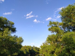 Summer landscape with trees and blue sky on sunny day.