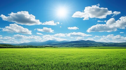 Obraz premium Sunny Summer Day in Green Field with Blue Sky and Mountains