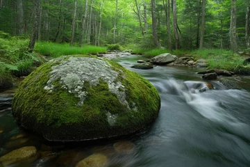Foto op Plexiglas Moss-covered boulder in a serene forest stream, with lush green vegetation and flowing water. © Roshani