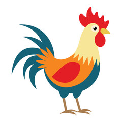  Rooster hen vector illustration