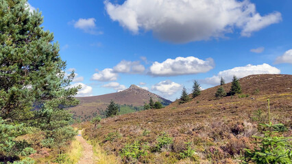Beautiful Scottish landscape portraying open pathways surrounded by greenery, pines, and majestic hills under clear blue skies with fluffy clouds - Bennachie, Aberdeenshire