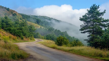 Naklejka premium Beautiful, foggy morning landscape with a road, trees, and a blue sky in the spring or summer time. This is a beautiful nature background