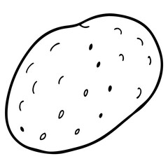 Elegant Potato Line Art Illustration