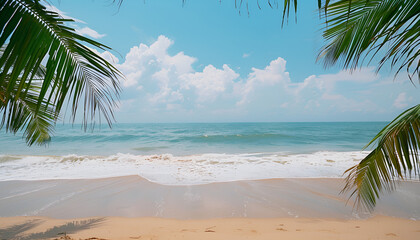 Palm tree on tropical beach with blue sky and white clouds abstract background