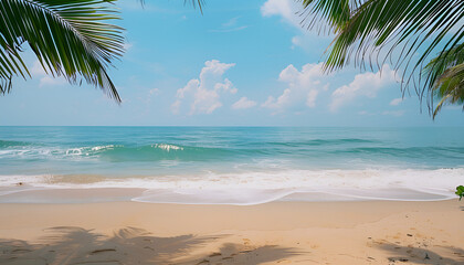 Palm tree on tropical beach with blue sky and white clouds abstract background