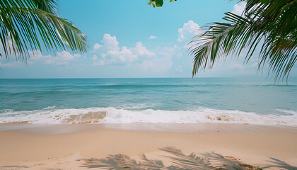 Palm tree on tropical beach with blue sky and white clouds abstract background