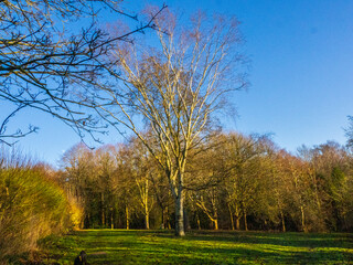 Obraz premium Cold day in the park