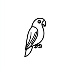 Fototapeta premium Simple line art parrot illustration, isolated white background, for use in education or design