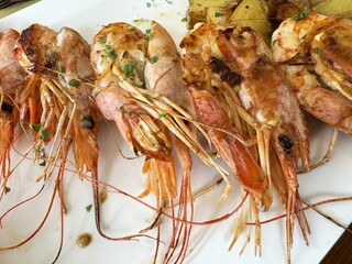 Grilled prawns with seasoned herbs on white plate