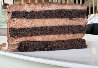 Decadent chocolate layer cake slice on white plate