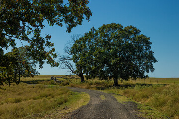 Dirt road leading to an old Cemetery in Sequoyah County, Oklahoma