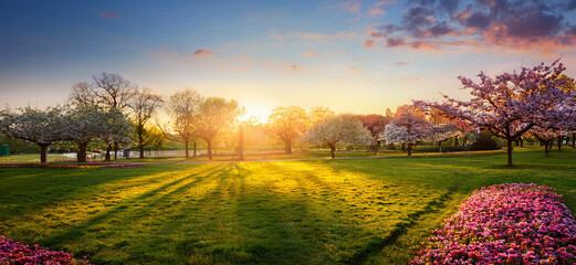 Spring colors and warm light, wide angle view of awakening city park