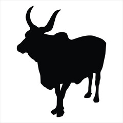 bull silhouette isolated  on a white background