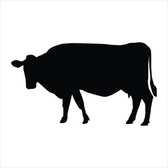 cow silhouette vector isolated on a white background.